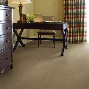 54740 Gather Commercial Carpet Shaw